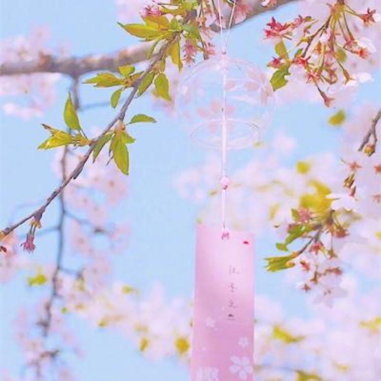 高久千草（饰 未知角色） - 教育课程视频在线观看 - 网页观影